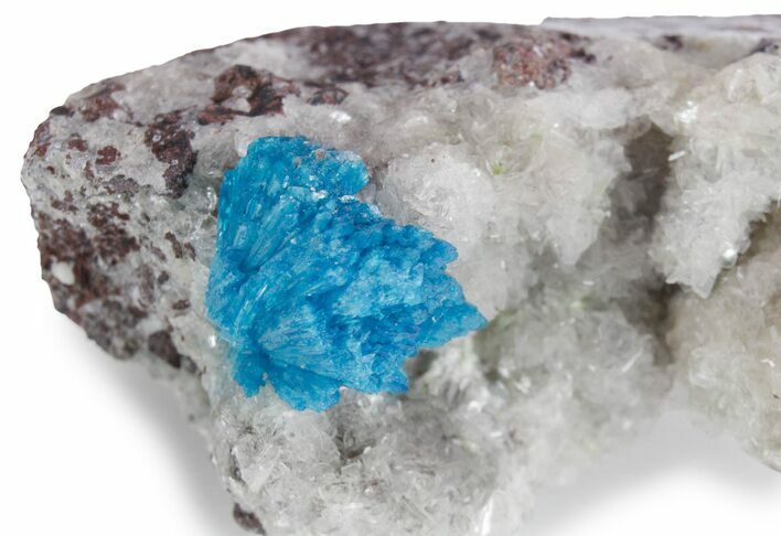 Vibrant Blue Cavansite Crystals on Sparkling Stilbite - India #357239